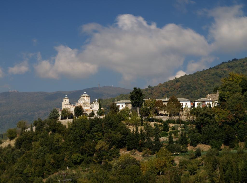 Pelion Goddess Villas Агиос-Георгиос-Нилиас Номер фото